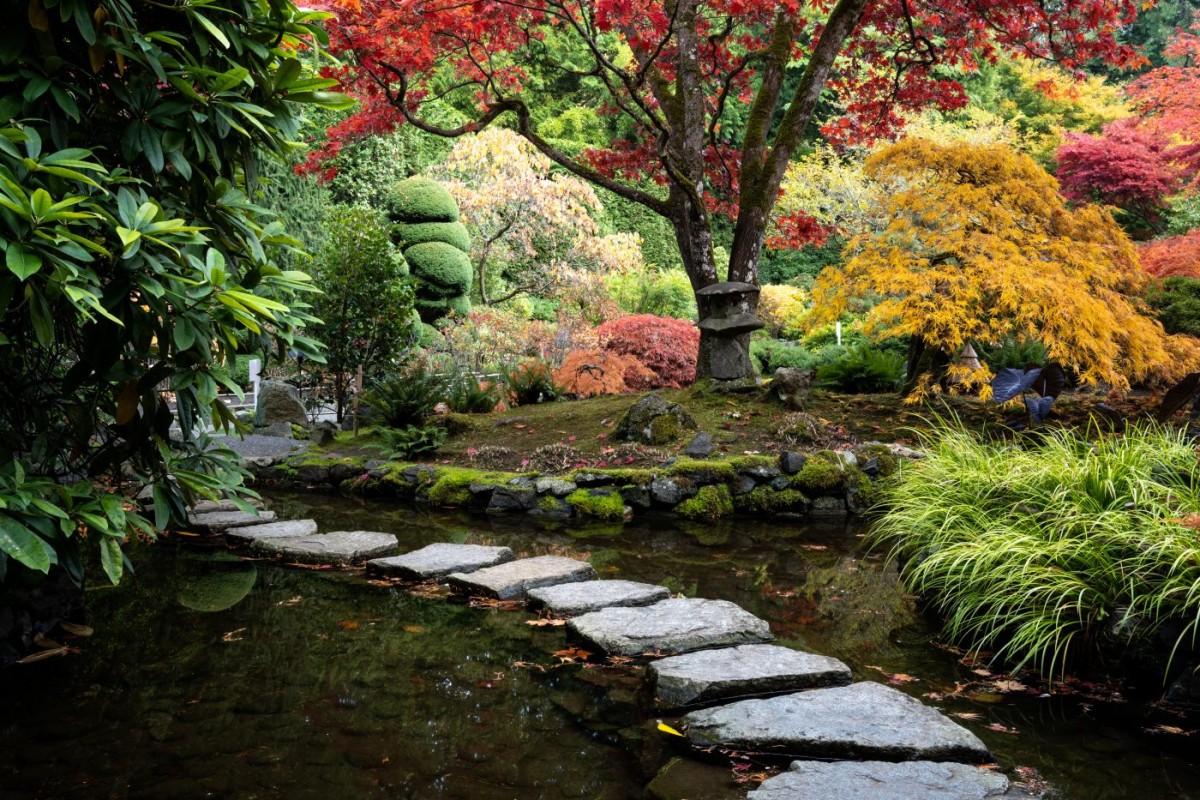 Comment faire un jardin zen pas cher ? - Centrakor